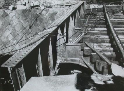 下の川電車軌道橋