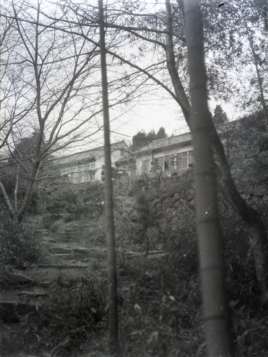 田上養生園
