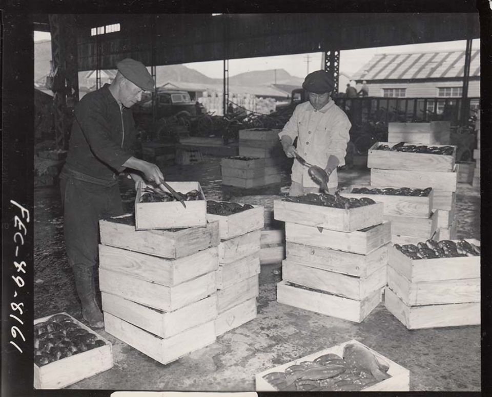 長崎魚市場の光景